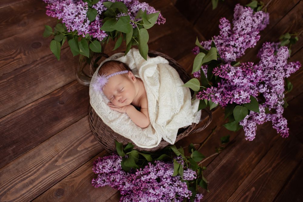 Фотография автора Кирсанова Наталья