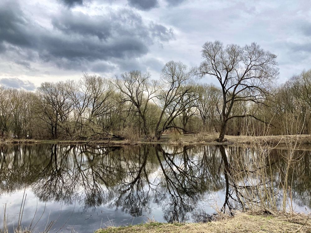 Парк Затьмачье. Тверь.