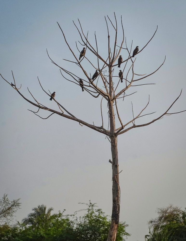 Photograph by Agha Siraj