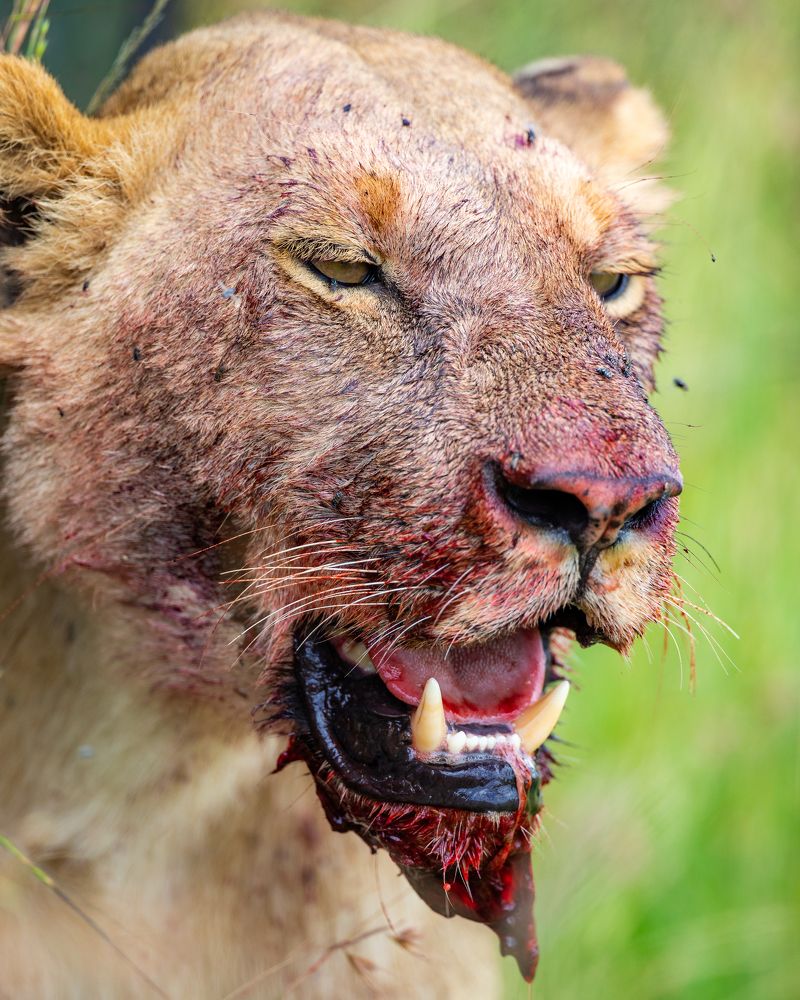 Photograph by Sangeetha Damodaran