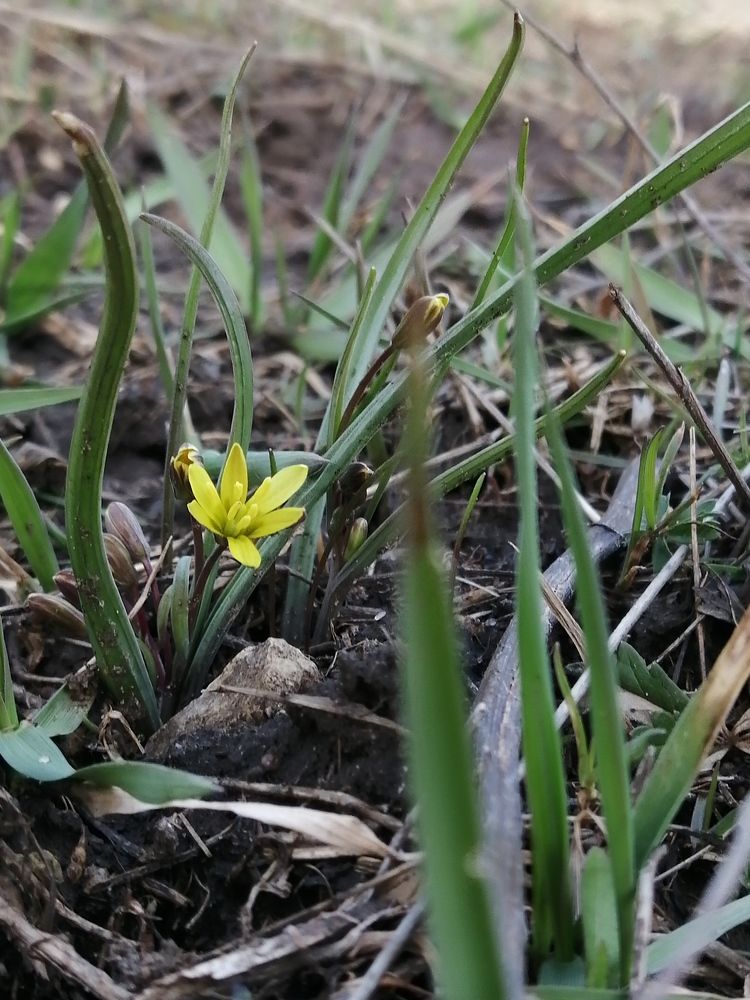 Photograph by Михаил Черкашин