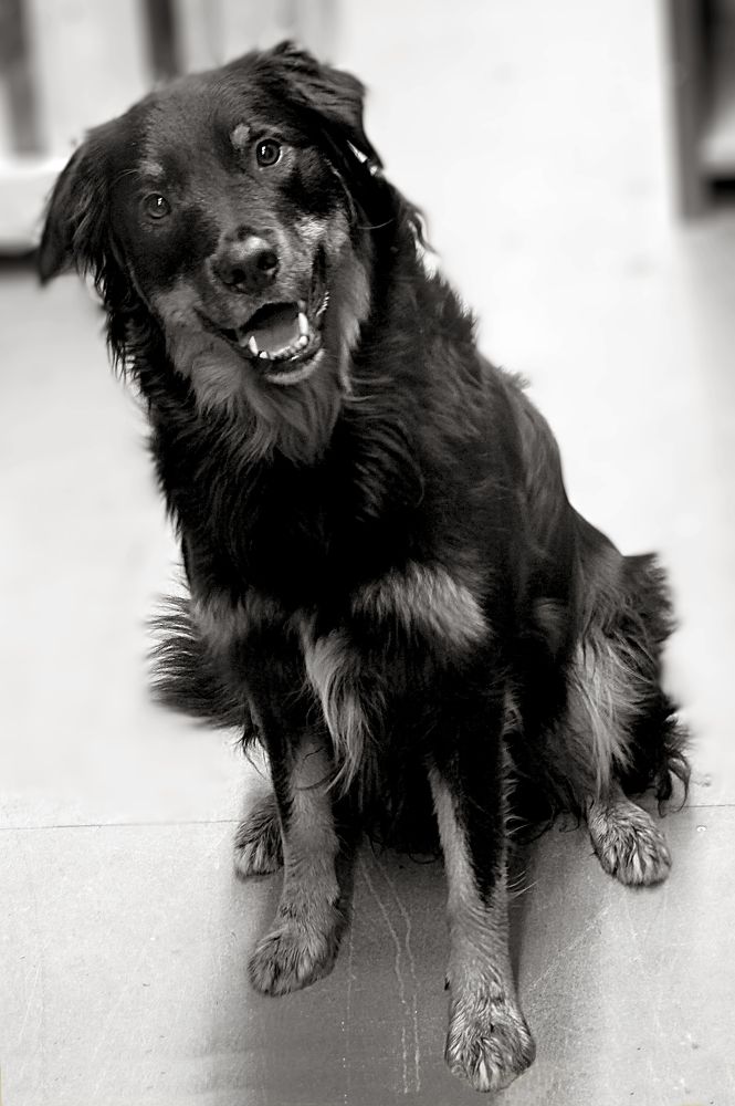 Photograph by Lena Feldman