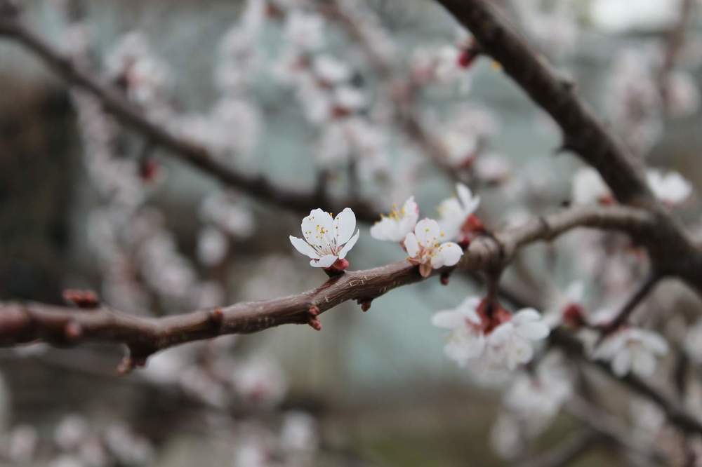 Photograph by Лена Виговская