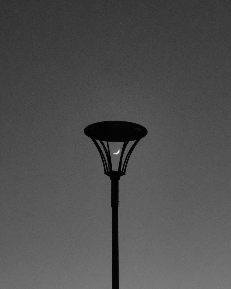 Photograph by Андрей Данчишин