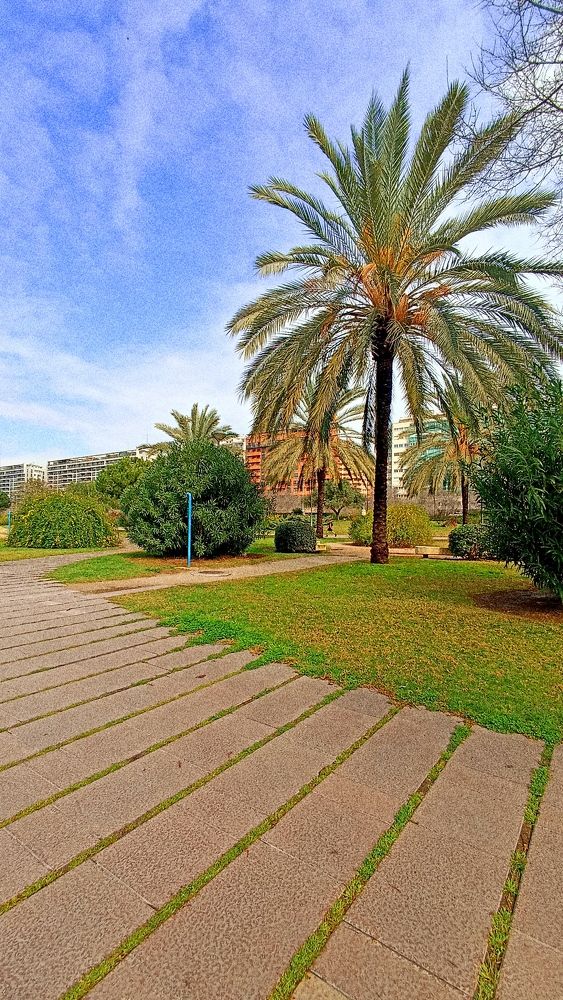 Photograph by Лена Виговская