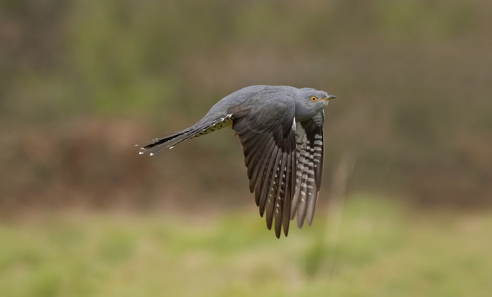 Фотография автора MARIA KULA