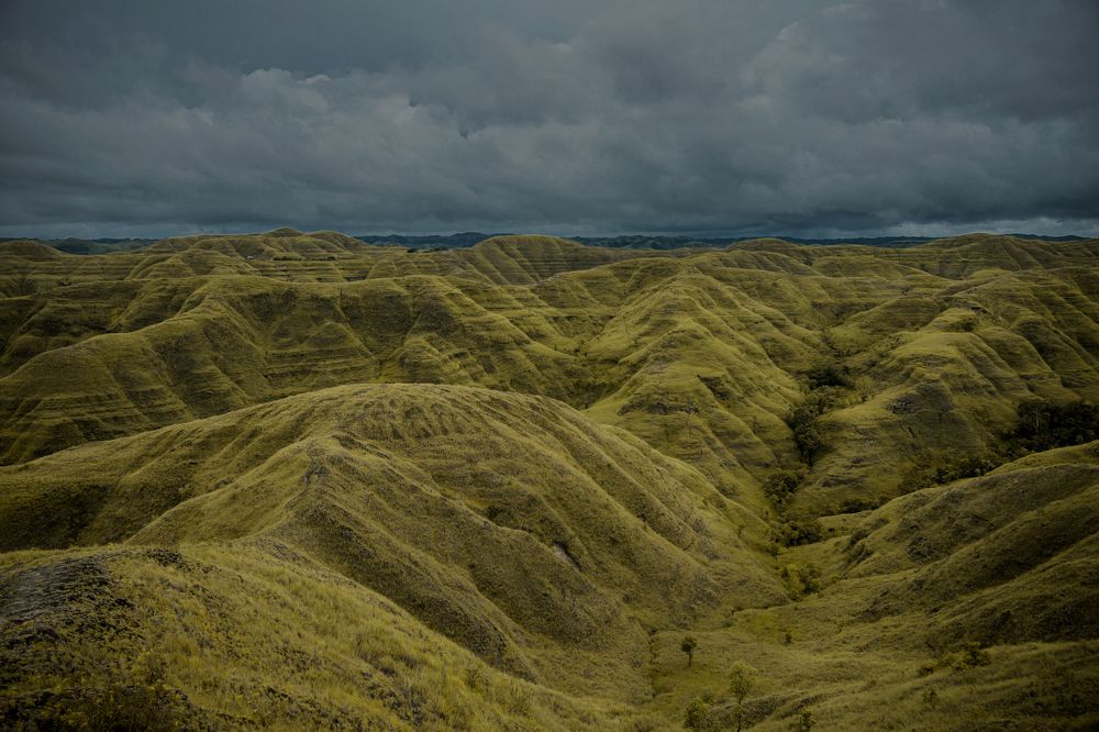 Фотография автора Anil Prabhakar