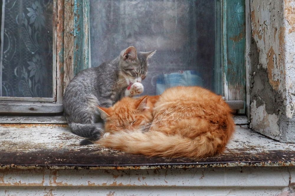 Photograph by Ирина Шумкова