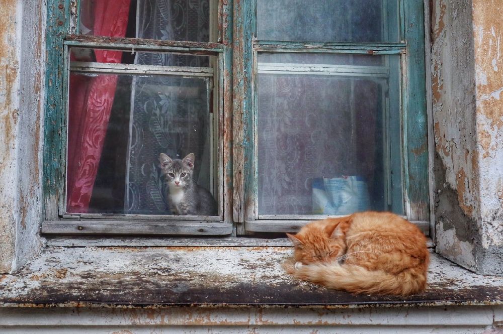 Photograph by Ирина Шумкова