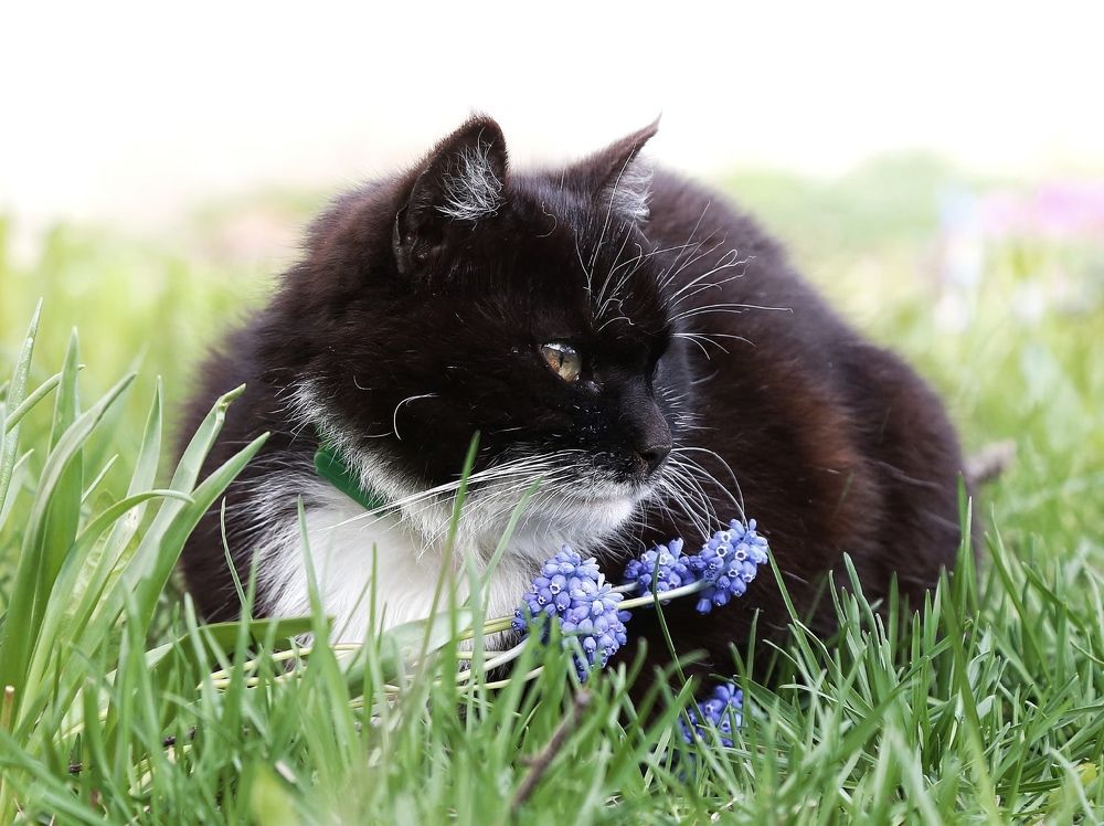 Photograph by Ирина Шумкова