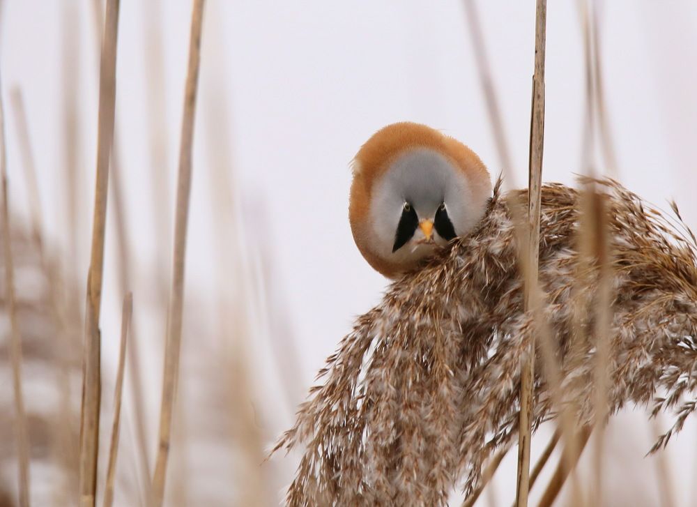 Photograph by Хромов