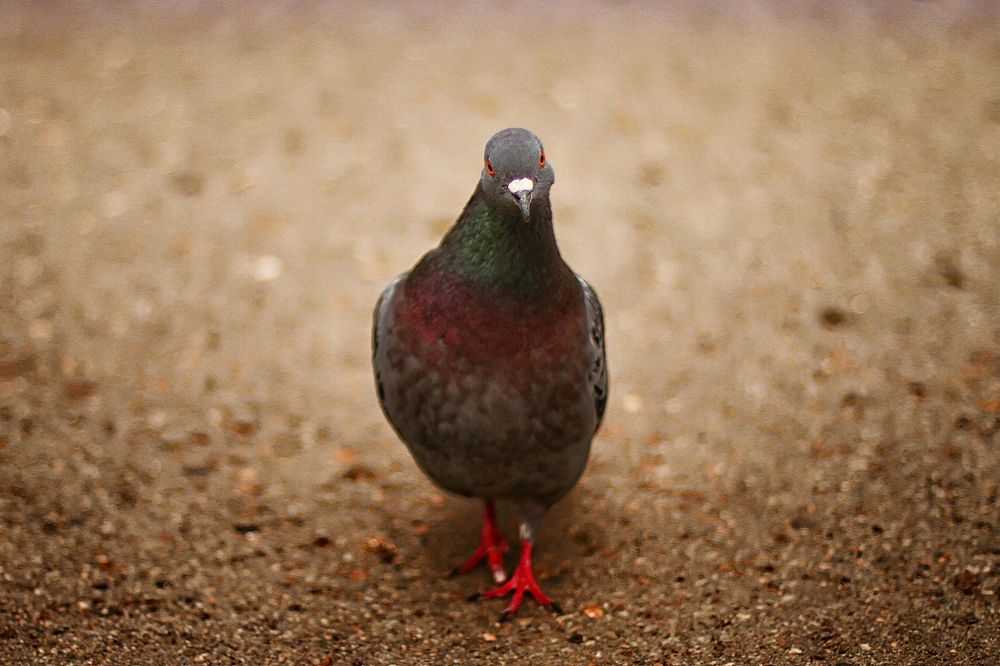 Photograph by Анна Гайнуллина