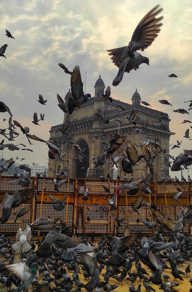 Photograph by Venkatesh Rao