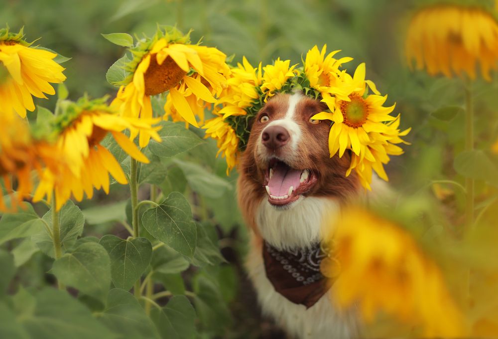 Photograph by Наталья Гранфельд