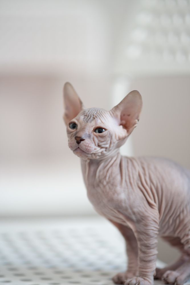 Photograph by Татьяна Шалкова