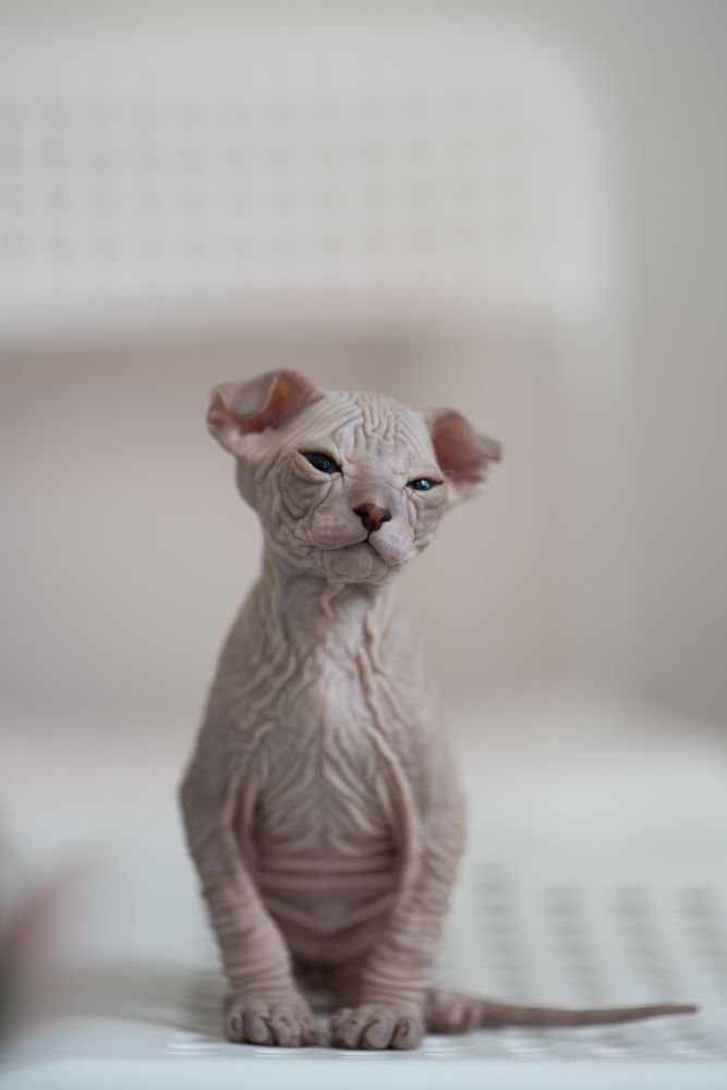 Photograph by Татьяна Шалкова