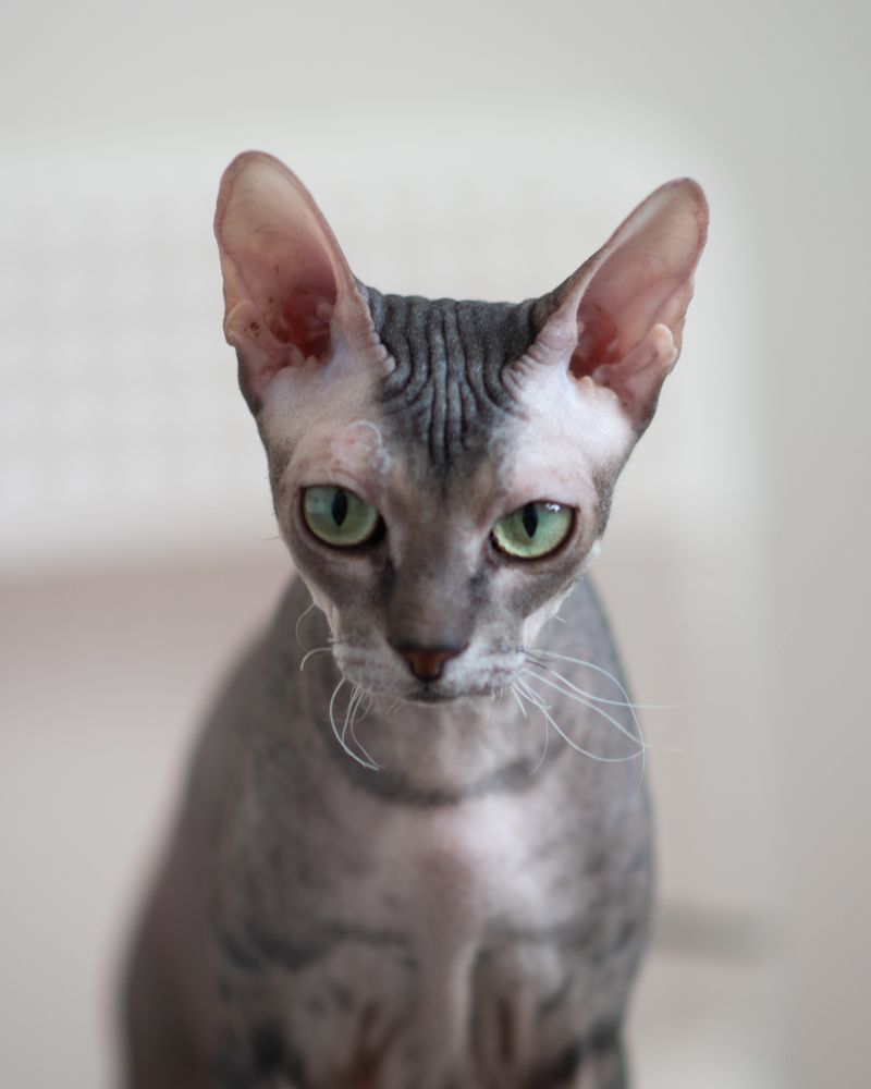 Photograph by Татьяна Шалкова