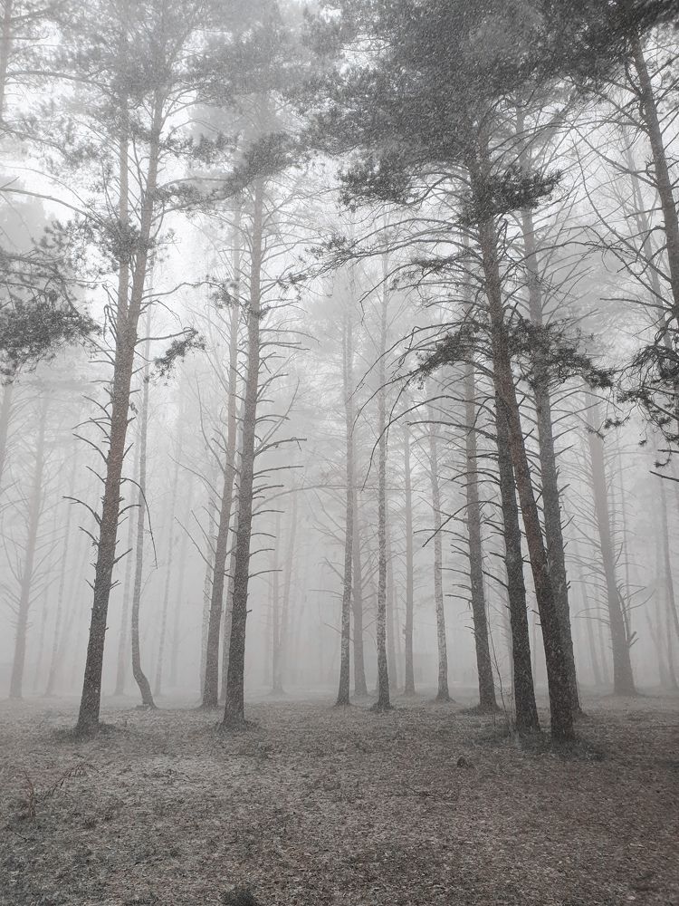 Апрель в Сибири