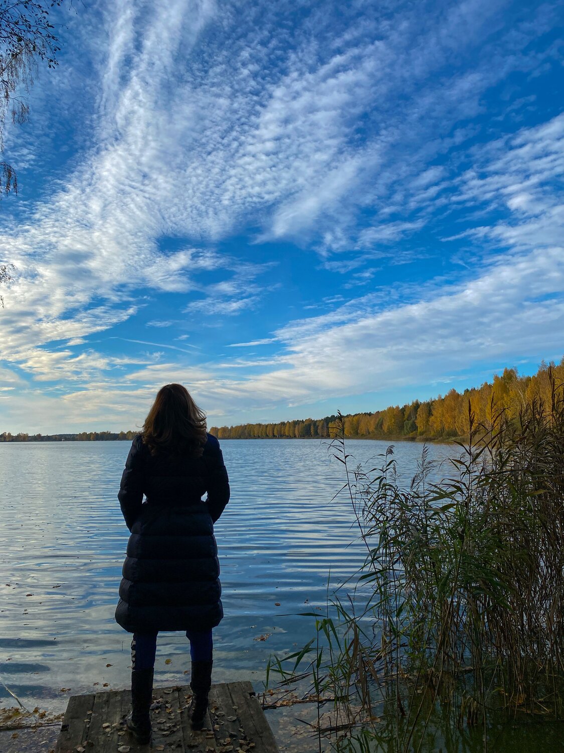Photo #7521082