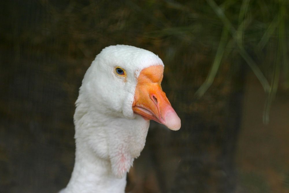 Photograph by Milla Luca