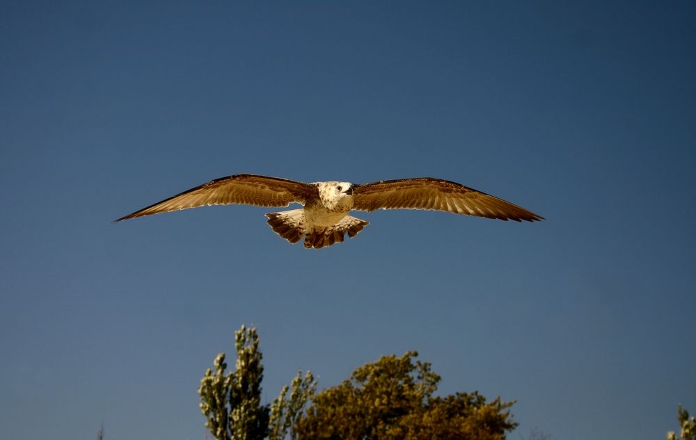 Photograph by Milla Luca