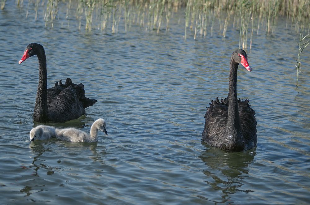 Photograph by Oxana Berezovskaya