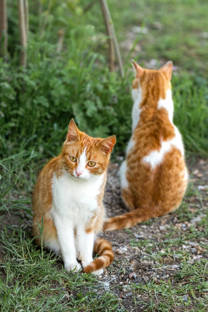 Photograph by Елена Володина