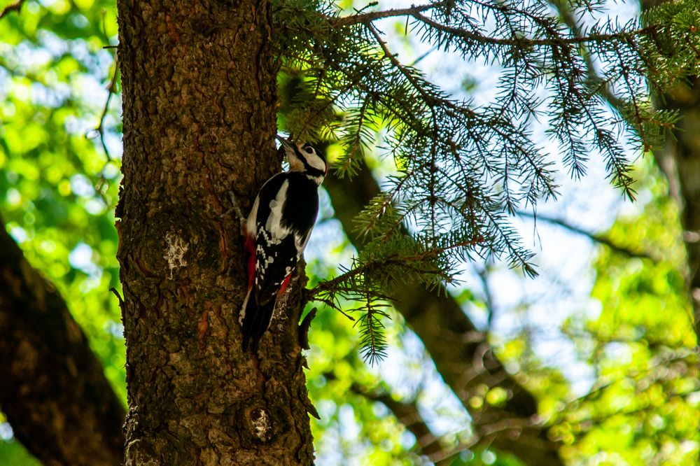 Photograph by Всеволод Маслов