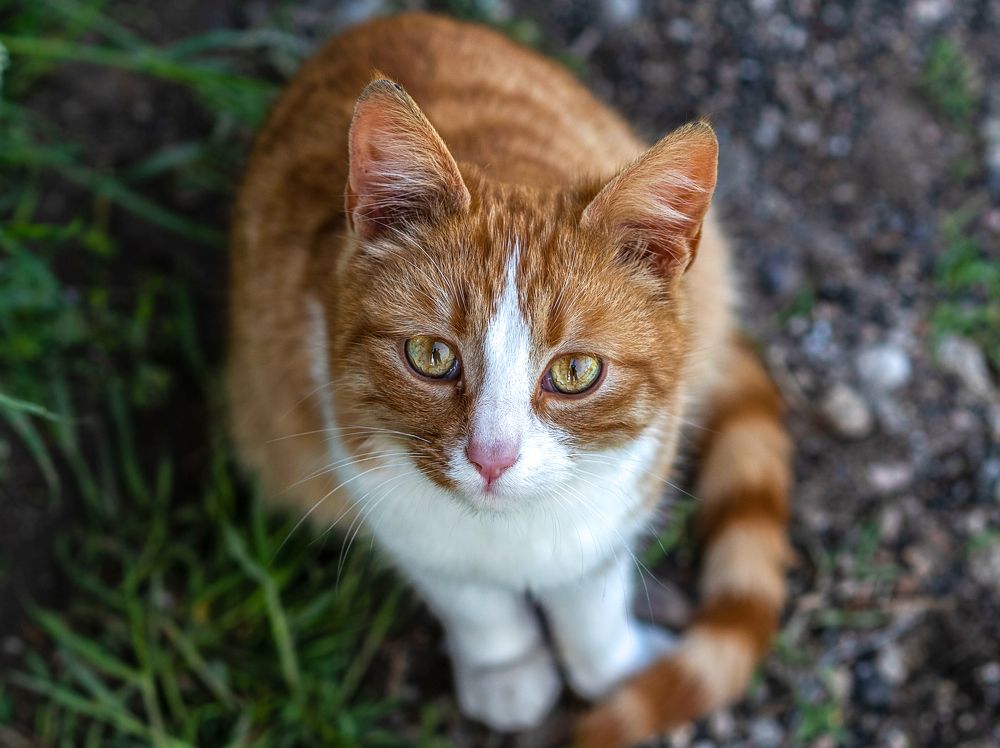 Photograph by Елена Володина