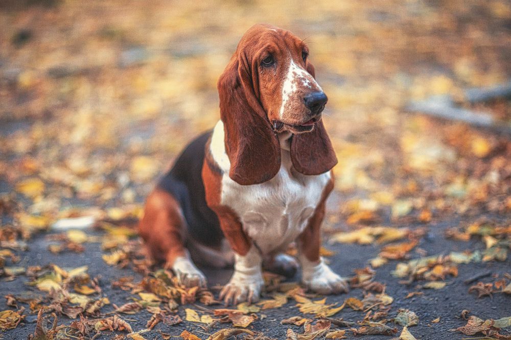 Photograph by Анатолий Климов