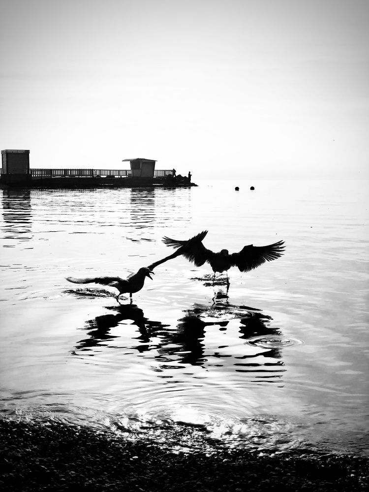 Фотография автора Наталья Кирпичёва