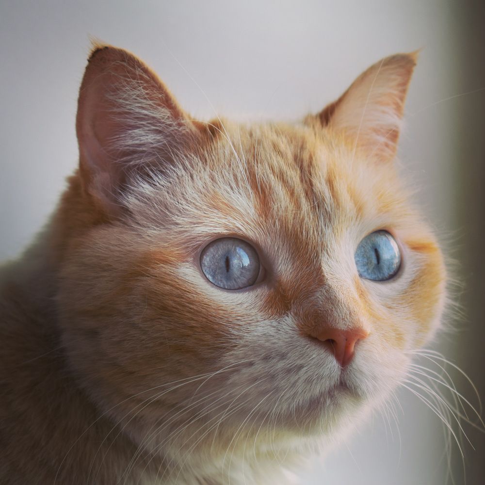 Photograph by Kira Bahvalova