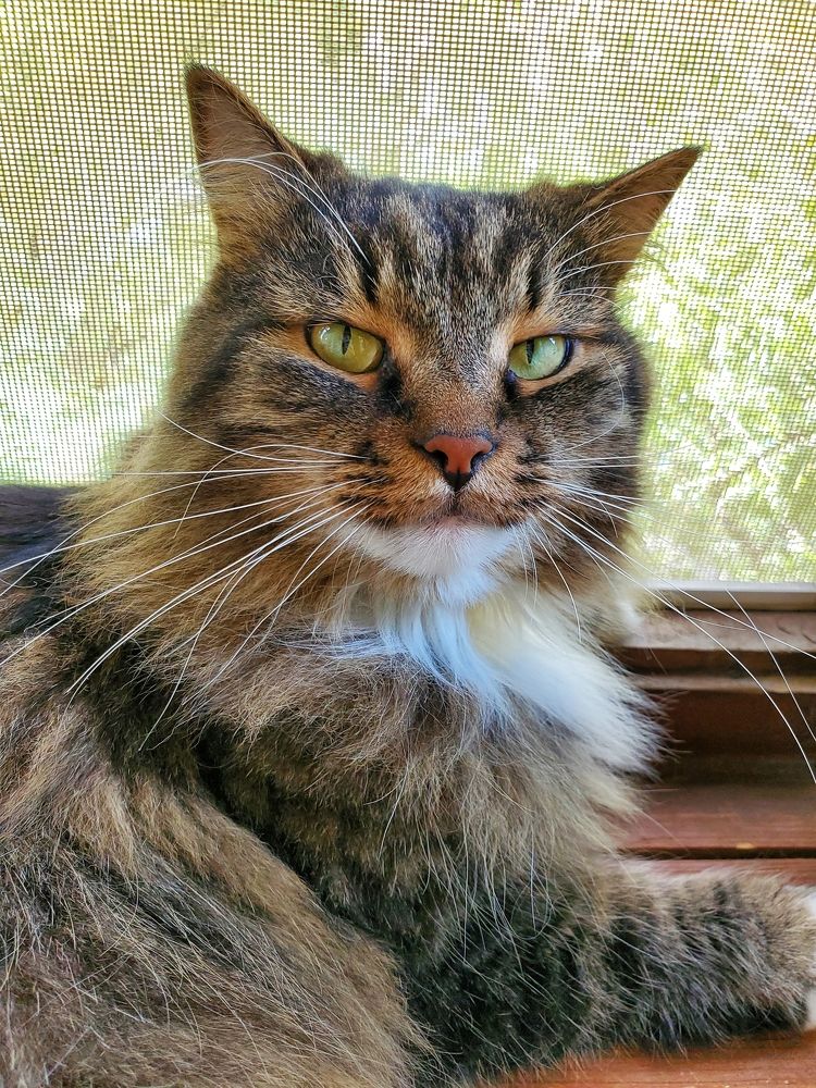 Photograph by Евгения Алексеева