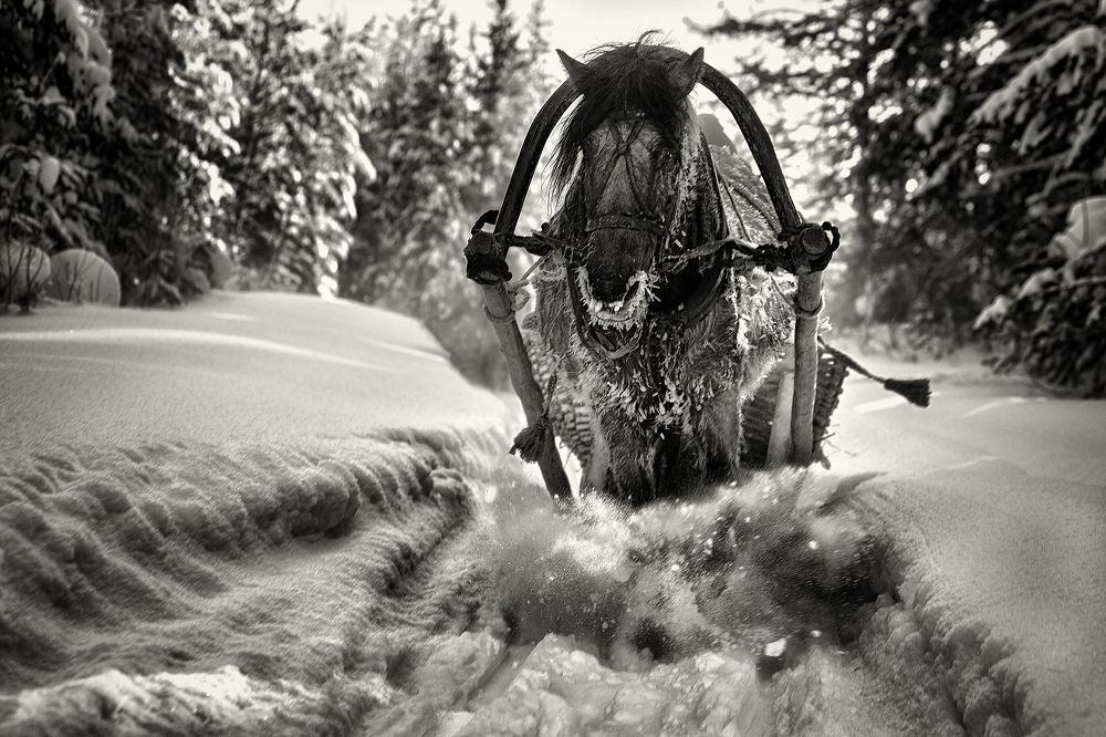 Photograph by Усманов Рашид