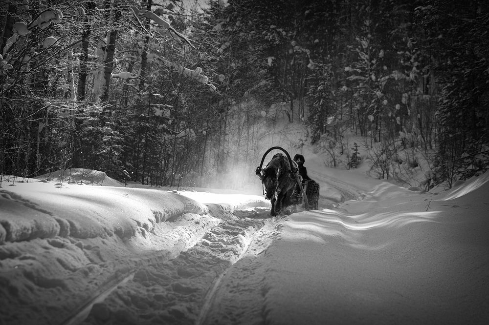 Photograph by Усманов Рашид