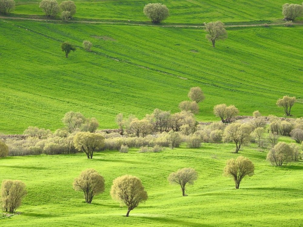 Photograph by Mohammad Tayeb Mahmoudi