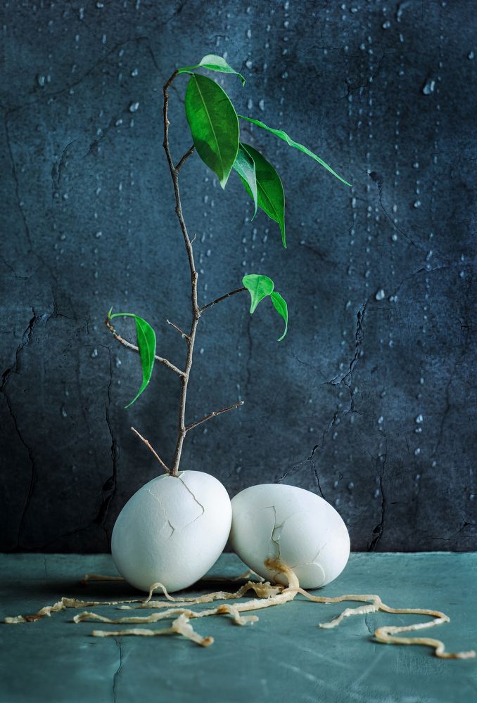 Photograph by Юлия Яремко