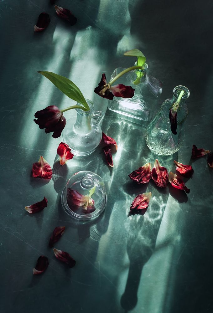 Photograph by Юлия Яремко