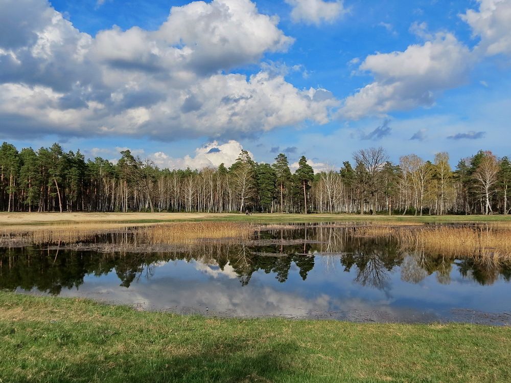 Photograph by Лилия Харламова