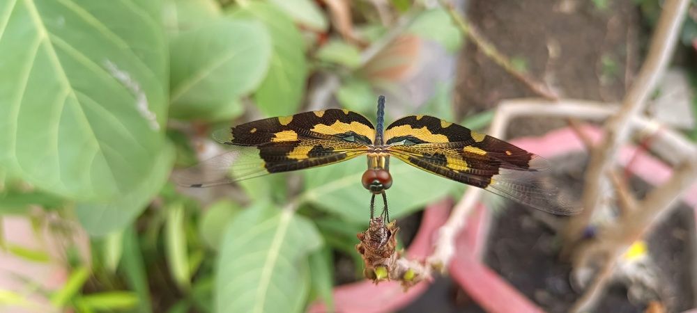 Photograph by Amit Kumar