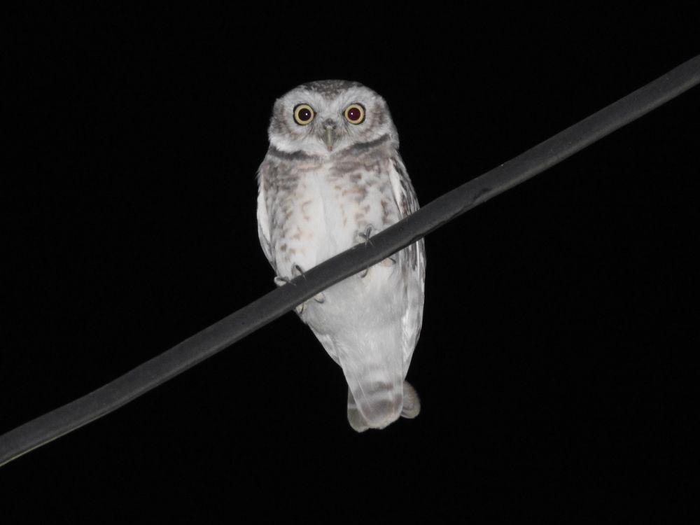 Photograph by Mohammad Tayeb Mahmoudi