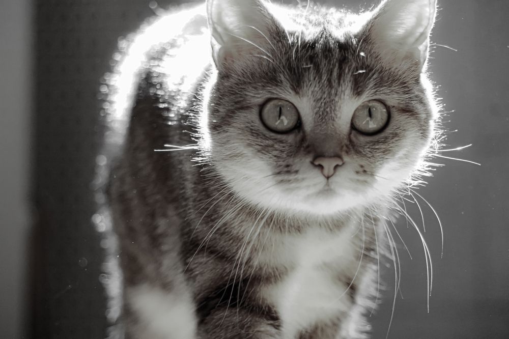 Photograph by Алфия Бугакова