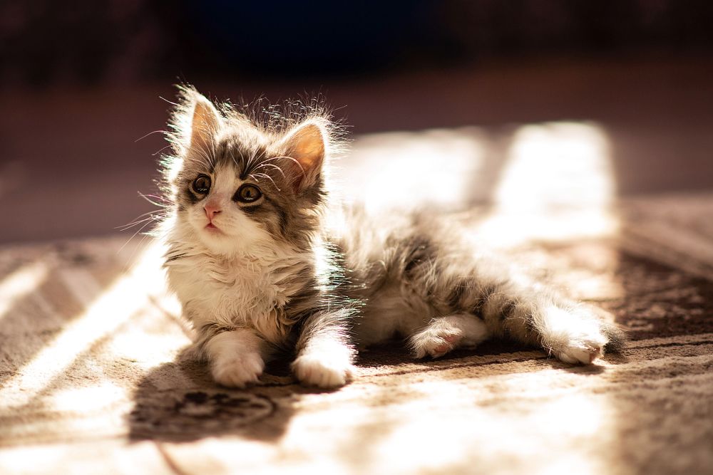 Photograph by Елена Володина