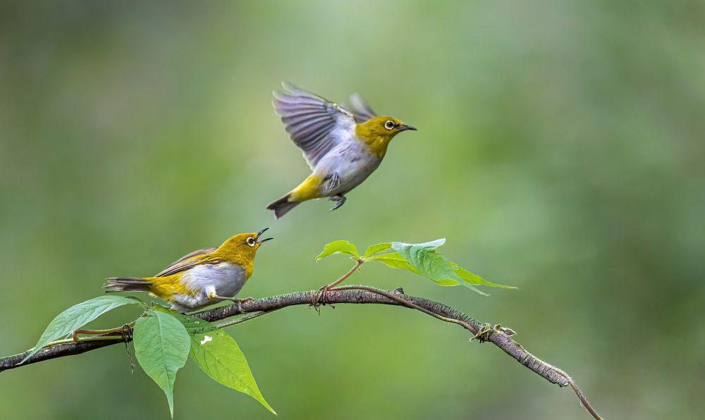 Photograph by Dipanjan Nath