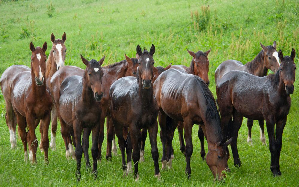 Photograph by Диана Бородзе