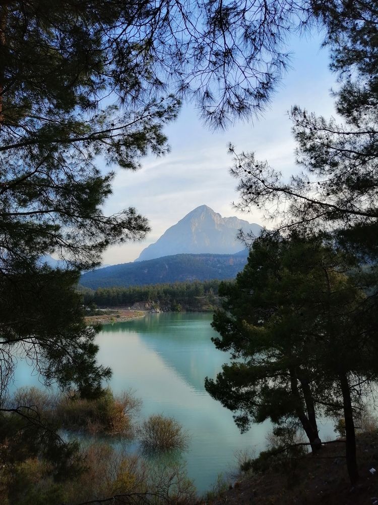 Photograph by Alp Aysgl