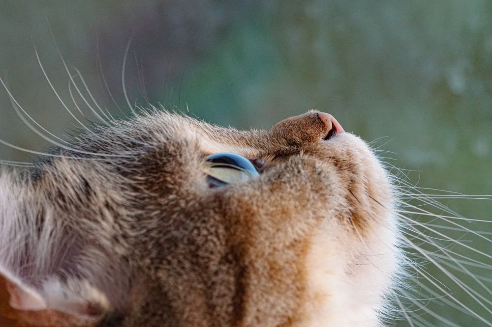 Photograph by Алфия Бугакова