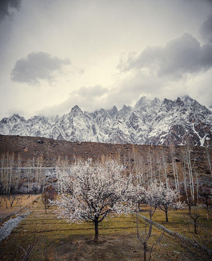 Фотография автора Ubaid Ullah Baig