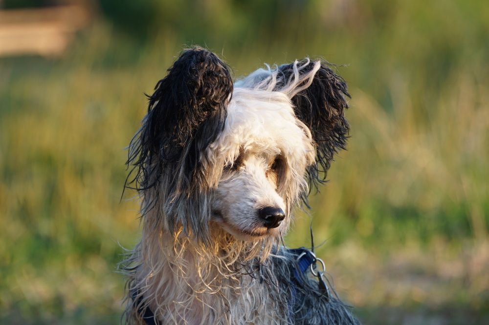 Photograph by Алфия Бугакова