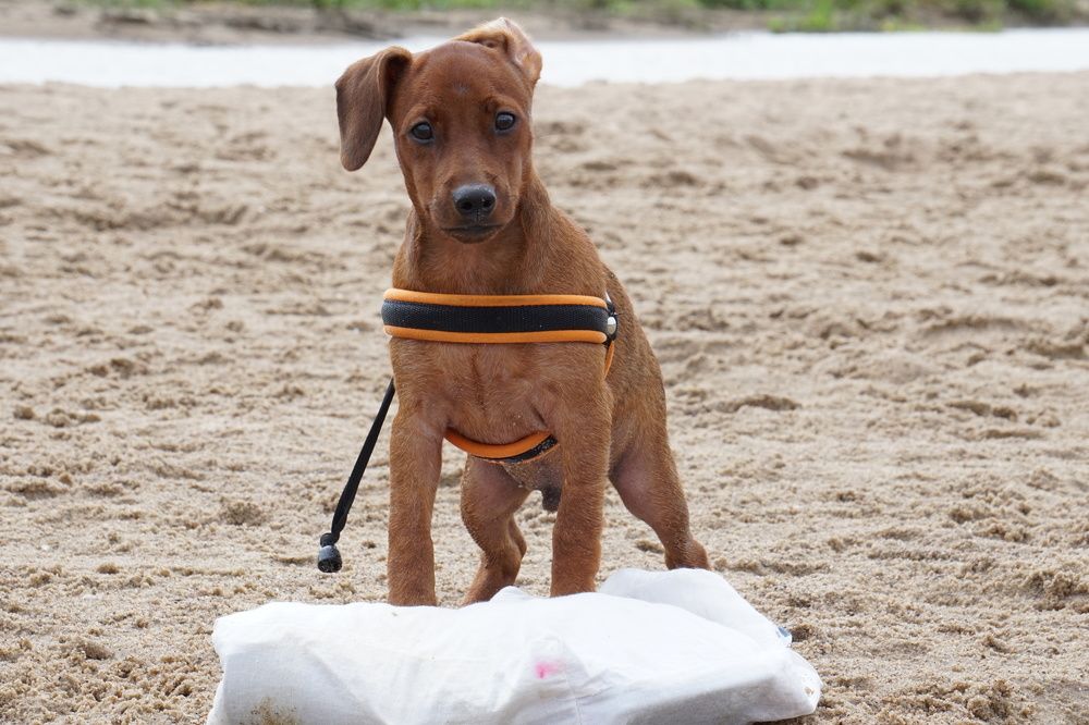 Photograph by Алфия Бугакова